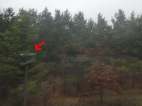 A direction sign amidst the trees